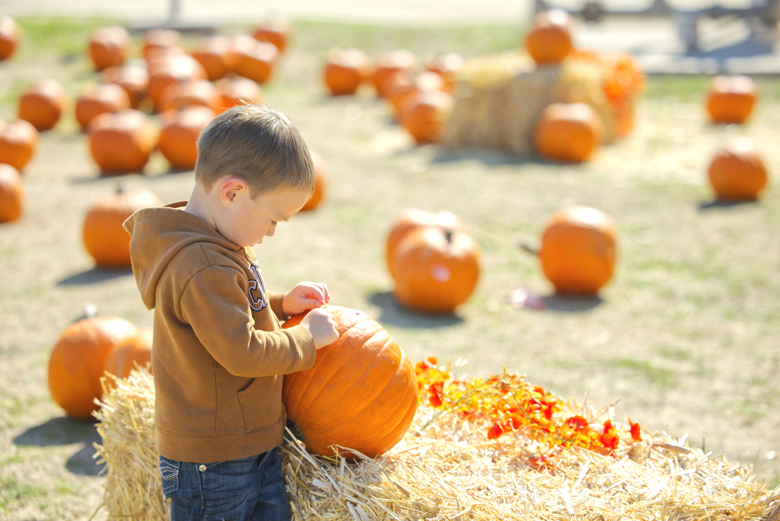 Welcome to the Jungle rally photos 