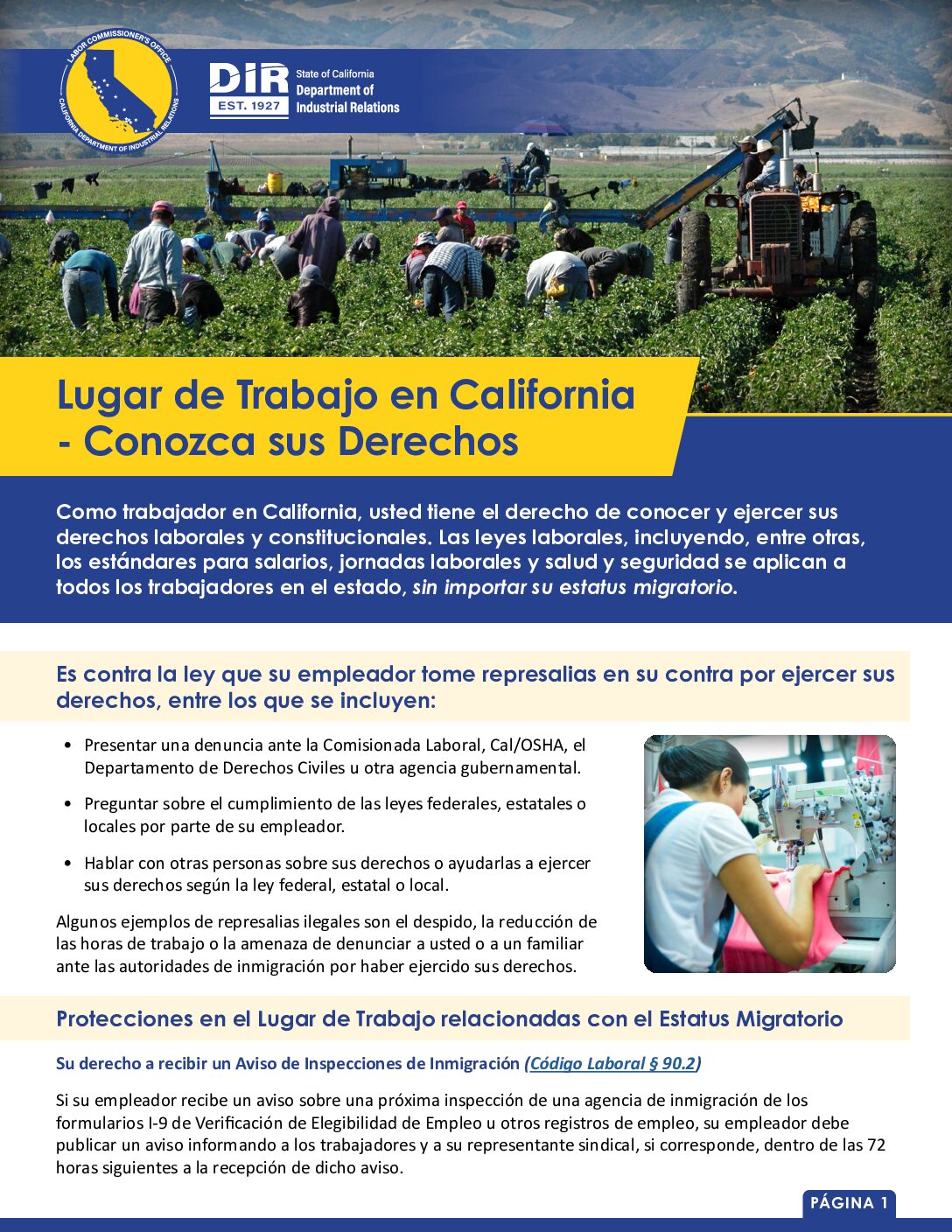 Know Your Rights Spanish
